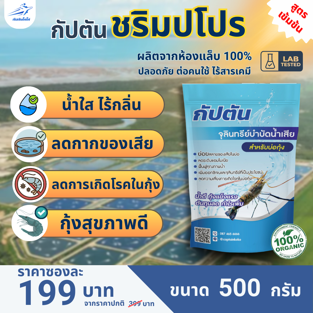 กัปตัน กุ้ง บำบัดน้ำ ลดของเสียบ่อเลี้ยงกุ้ง