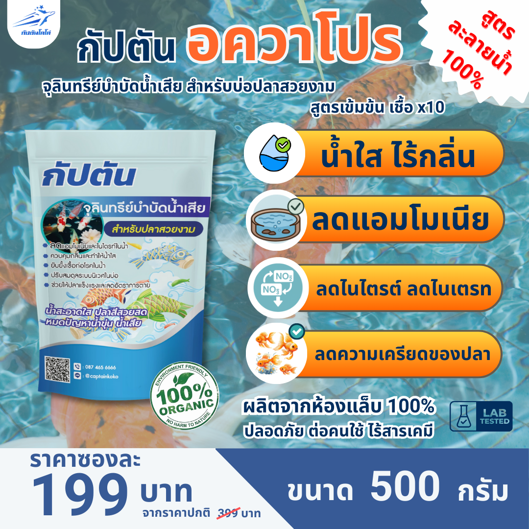 กัปตัน ปลาสวยงาม บำบัดน้ำ ลดของเสียในตู้ปลา