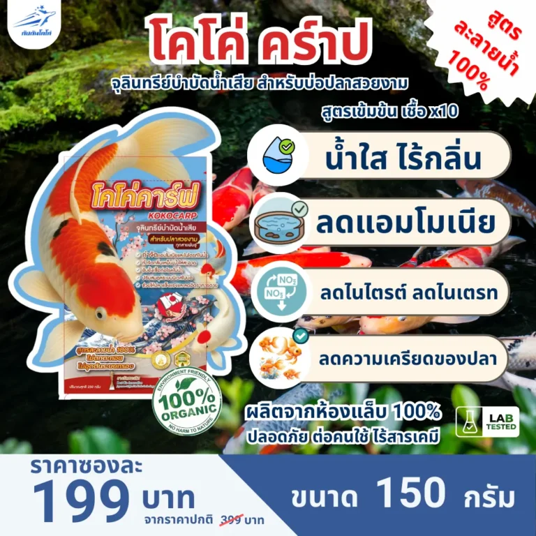 โคโค่คราฟ จุลินทรีย์สำหรับปลาคาร์ฟและปลาสวยงาม